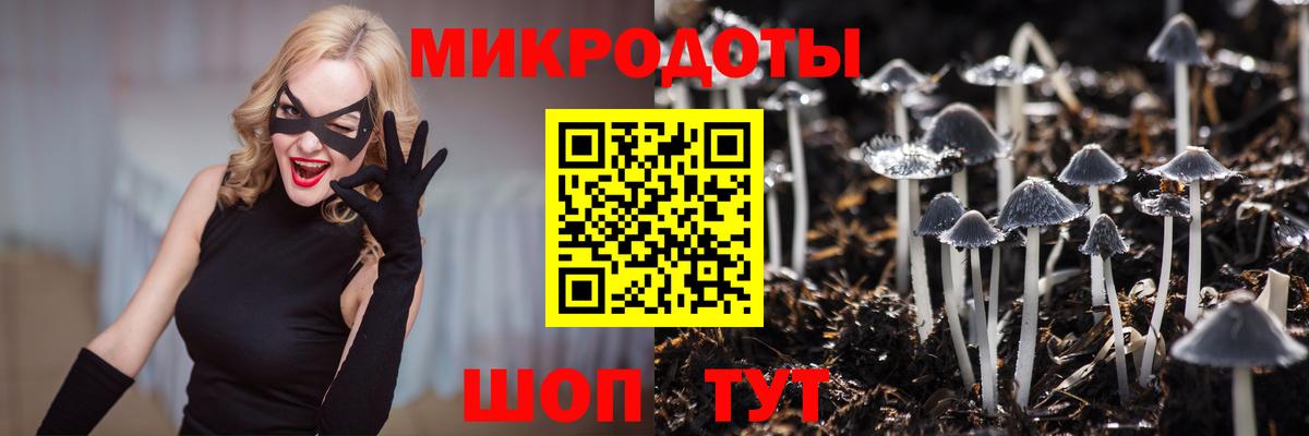 Галлюциногенные грибы MAGIC MUSHROOMS  Псилоцибиновые грибы Cubensis  Воткинск  Вход с VPN 